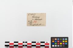 Etiketten zu Keramikgefäßfragment (NHMW-PRAE-023843)